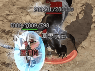今日新开迷失传奇——玩法不复杂，上线就是砍
